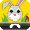 no app image